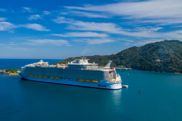 Cruise ship anchored off a green island